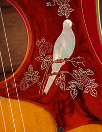 Gibson Dove (USED, 1969)