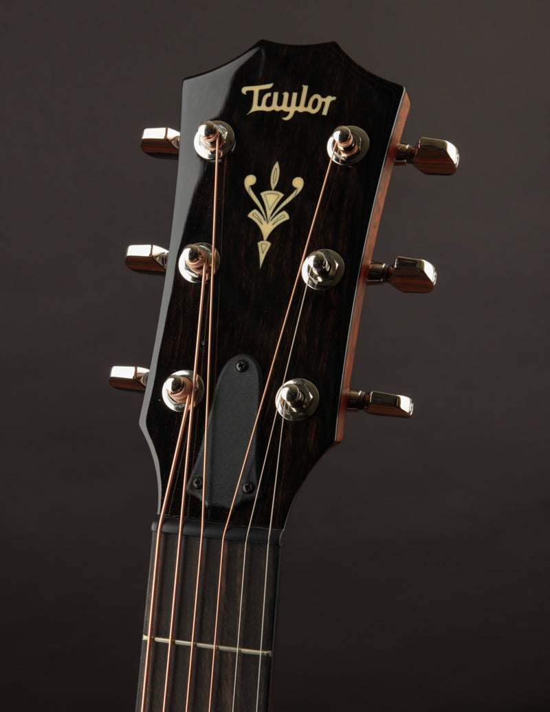 Taylor 514CE (USED, 2021)