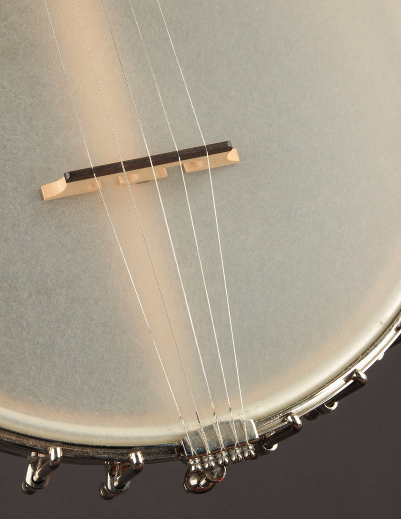 Eastman Whyte Laydie 5-String Openback Banjo (USED)