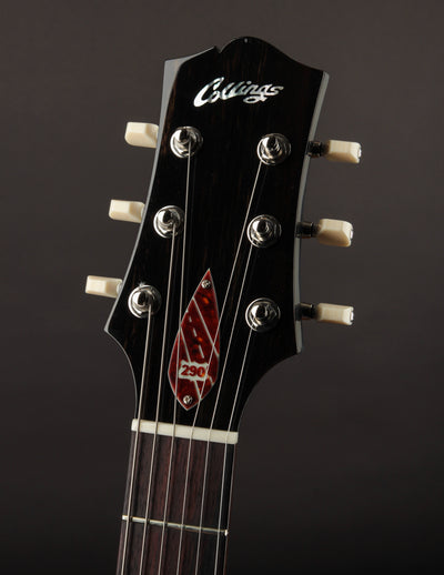 Collings 290 DC S Charcoal Frost