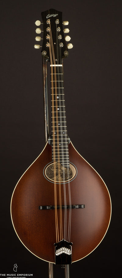 Collings MT-O Oval Full Sheraton Brown Ivoroid Bound