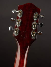 Gretsch 6119 Chet Atkins Tennessean (USED, 1962)
