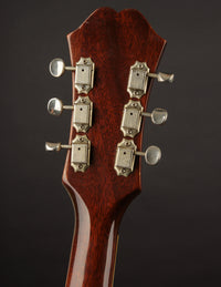 Epiphone ES360TD Riviera (USED, 1967)