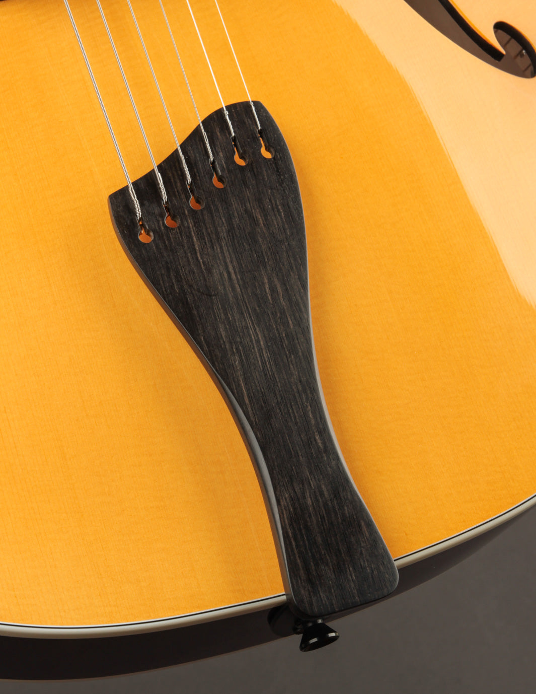 2020 Benedetto Bravo The Music Emporium