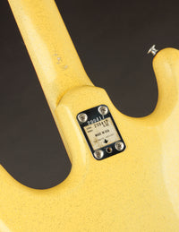 Magnatone X-20 Typhoon (USED, 1965)