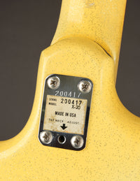 Magnatone X-20 Typhoon (USED, 1965)