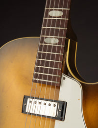Epiphone E452T Sorrento, Royal Olive (USED, 1963)