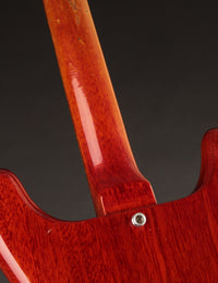 Epiphone Newport Bass, Cherry (USED, 1961)