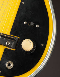 Harmony H42 Stratotone Newport Yellow (USED, 1956)