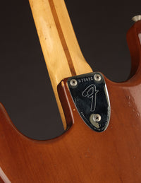 Fender Stratocaster, Walnut (USED, 1974)
