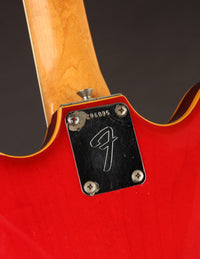 Fender Coronado II, Cherry (USED, 1967)