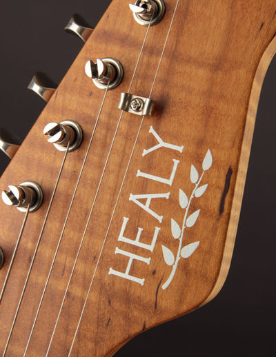 Healy Guitars Healer Sunburst w/ Descendant Vibrato