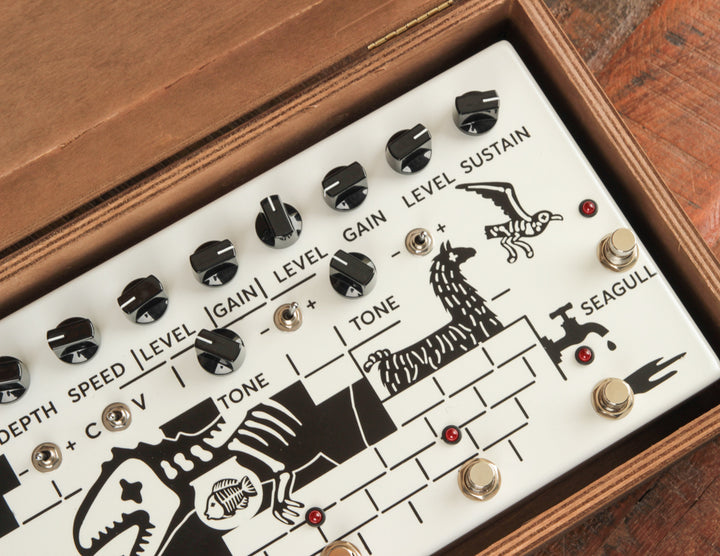 Pink Flow Multi Pedal: Find Yours at The Music Emporium