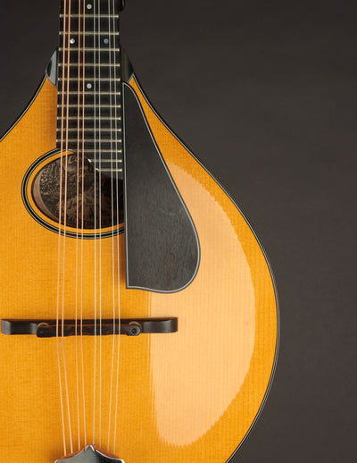 Collings MT2-O Honey Amber (USED, 2009)