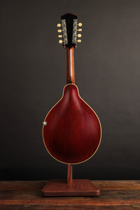 Gibson A-4 (USED, 1914)