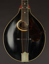 Gibson A-4 (USED, 1914)