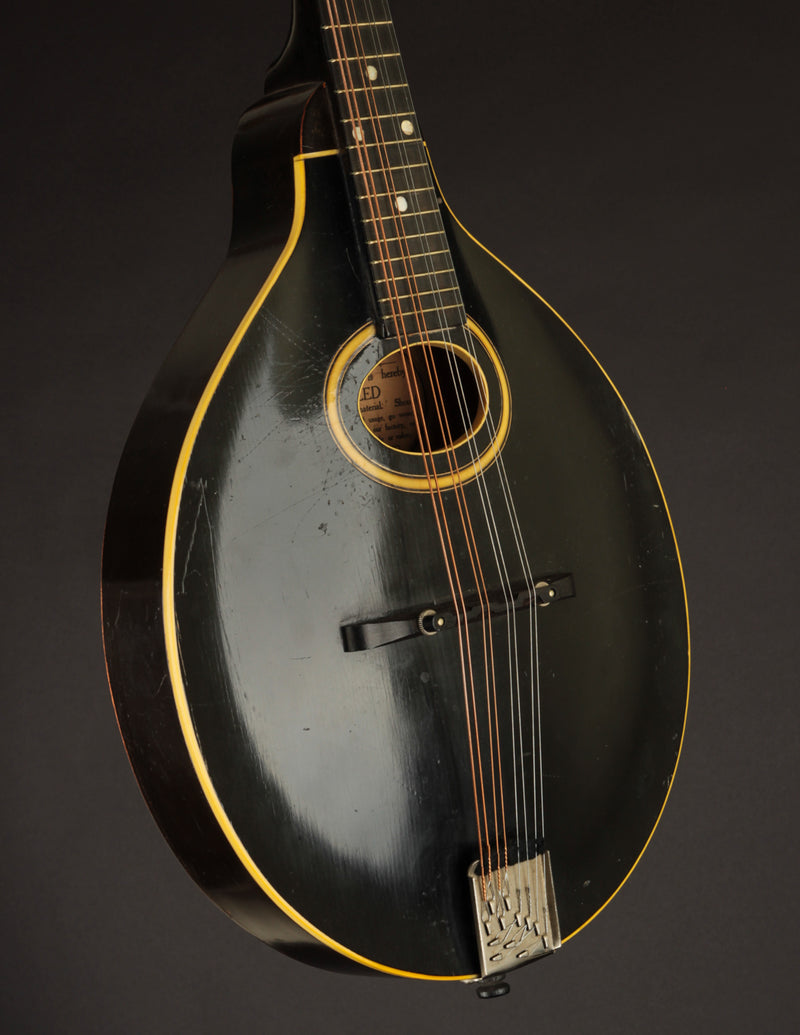 Gibson A Snakehead (1924)