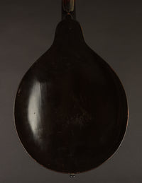 Gibson A Snakehead (1924)