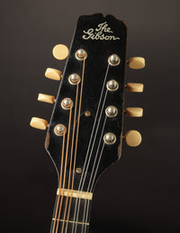 Gibson A Snakehead (1924)