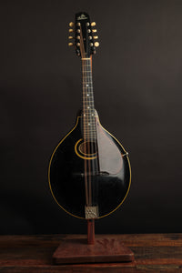 Gibson A Snakehead (1924)