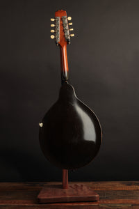Gibson A Snakehead (1924)