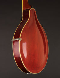 Gibson H-2 Mandola (1914)
