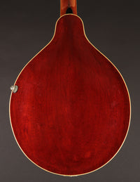 Gibson H-2 Mandola (1914)