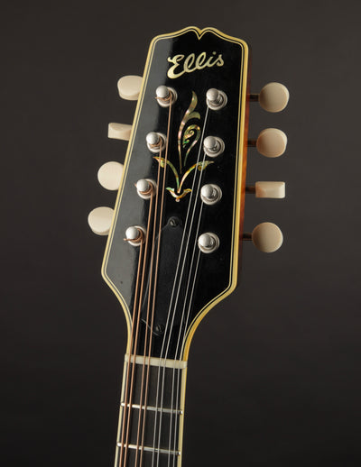 Ellis A5 Deluxe (USED, 2019)