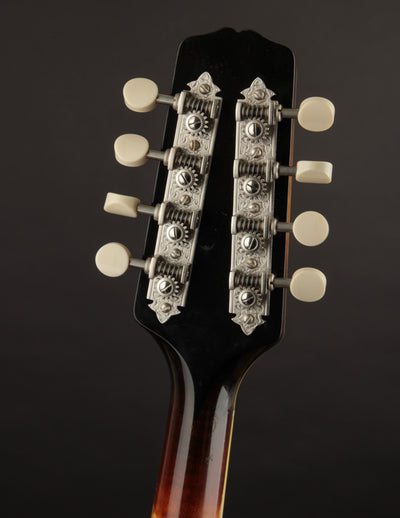 Ellis A5 Deluxe (USED, 2019)