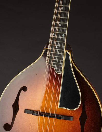 Ellis A5 Deluxe (USED, 2019)