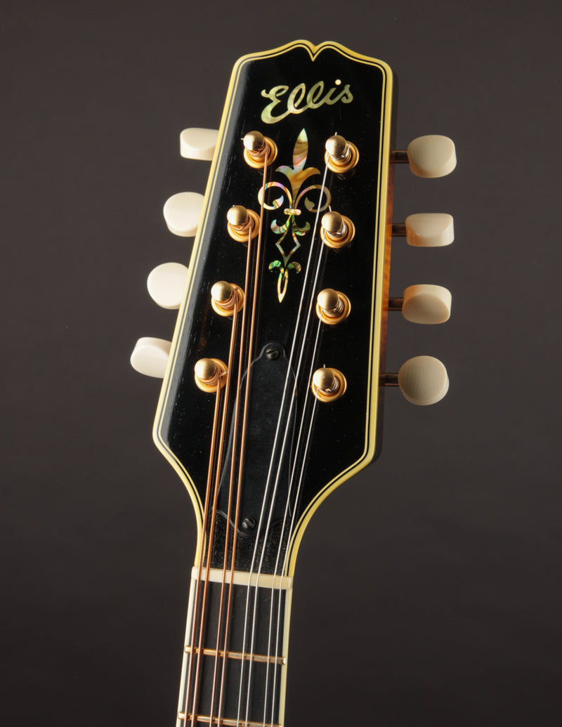 Ellis A5 Special (USED, 2021)