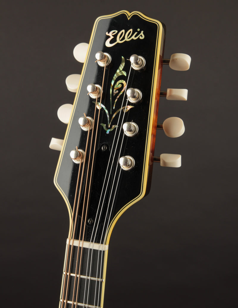 Ellis A-5 Deluxe (USED, 2022)
