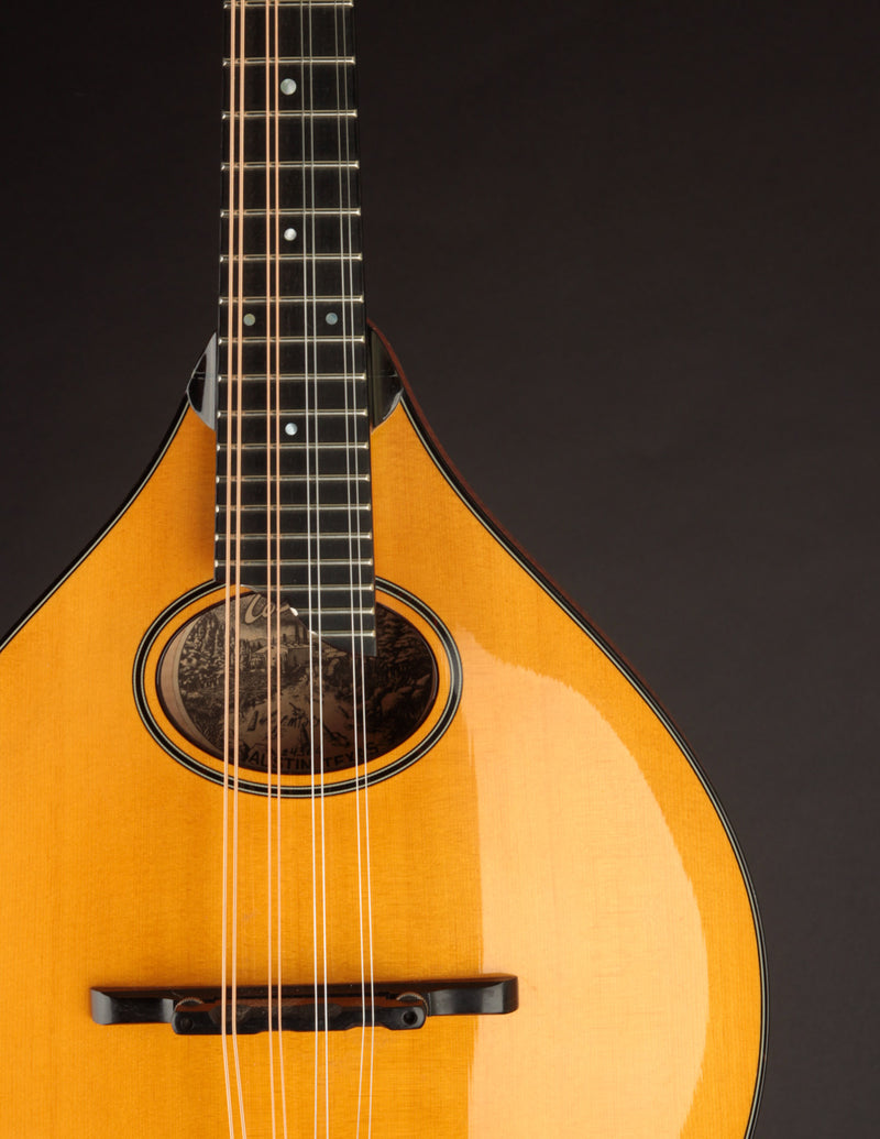 Collings MT2-O Honey Amber (USED, 2016)