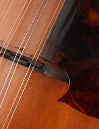 Gibson F-4 Natural (USED, 1913)