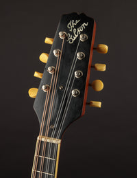 Gibson A2Z (1924)