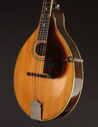 Gibson A2Z (1924)