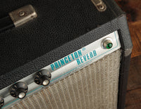Fender Princeton Reverb (USED, 1981)