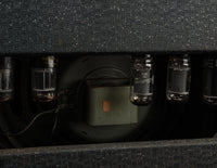 Ampeg Jet J-12 (1961)