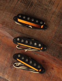 Ron Ellis 54S Stratocaster Set