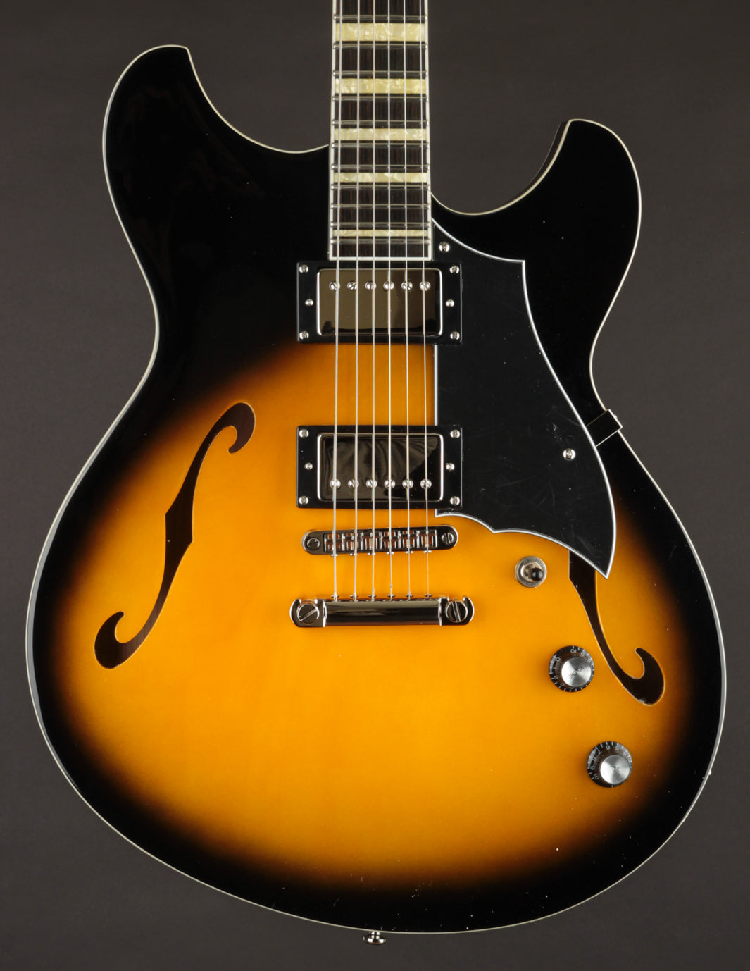 ギター Rivolta Guitars by Dennis Fano LINEUP / Rivolta Guitars by Dennis Fano