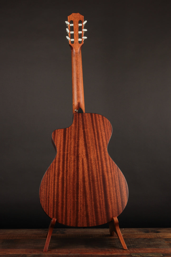 Taylor 312CE-N Nylon: Find Yours at The Music Emporium