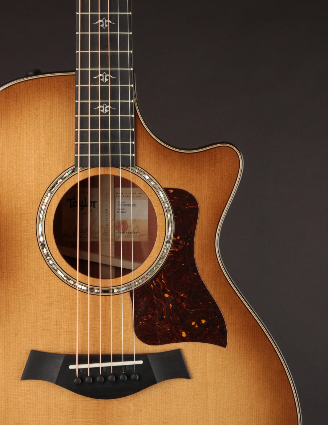 TAYLOR LTD 512ce-L10-ES（Taylor 512CE Urban Ironbark