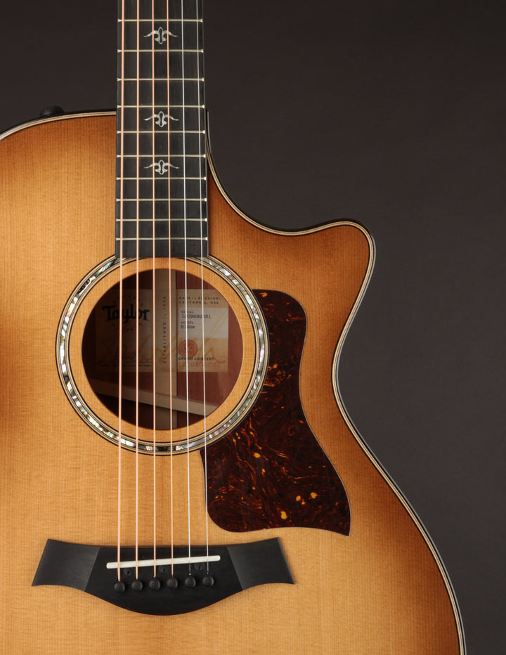 Taylor 512CE Urban Ironbark: The Music Emporium's Guitar