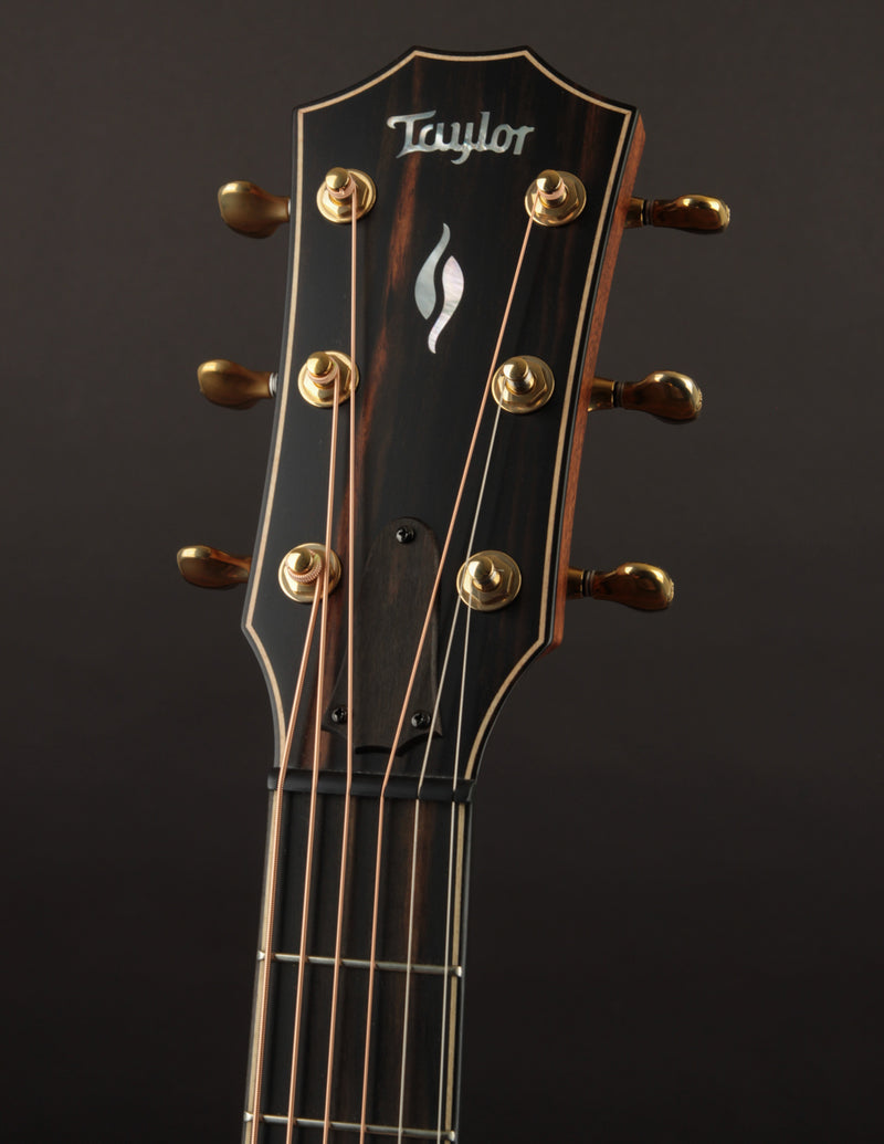 Taylor 816CE Builder&