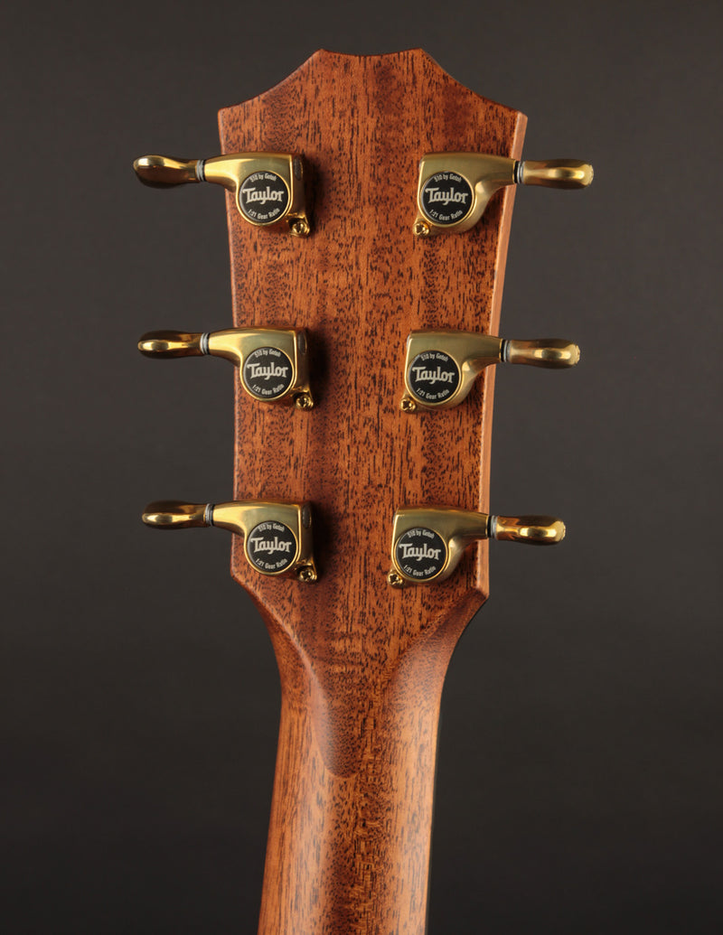 Taylor 816CE Builder&