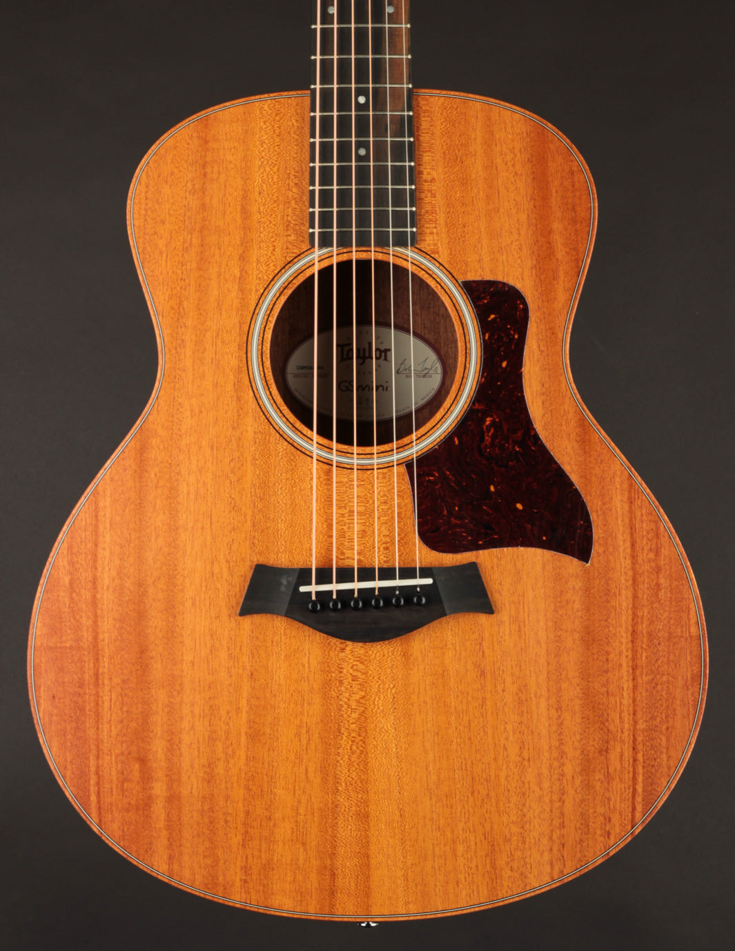 Taylor GS Mini Mahogany Top