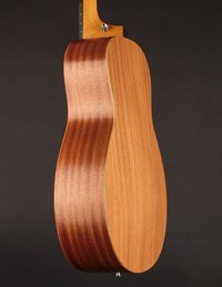 Taylor GS Mini Mahogany Top
