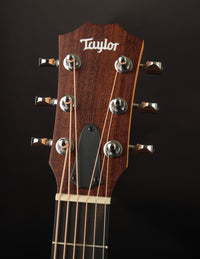 Taylor GS Mini Mahogany Top