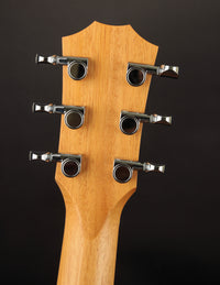 Taylor GS Mini Mahogany Top