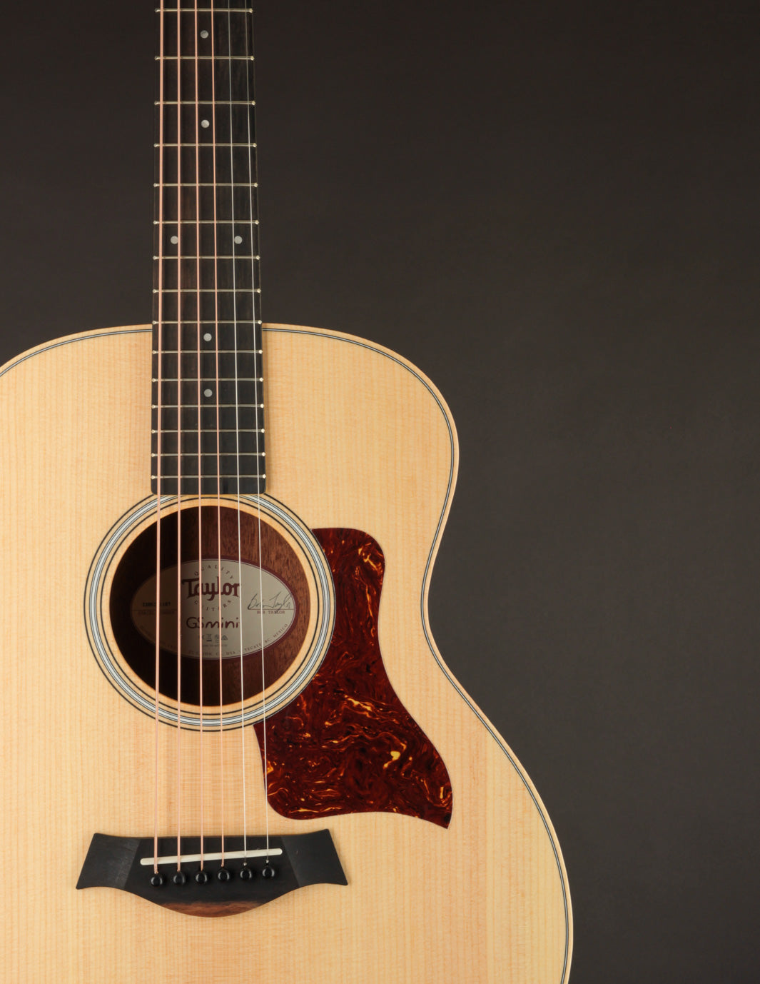 【2024/4月購入】Taylor GS Mini Rosewood 2024/4月購入】Taylor GS Mini Rosewood Taylor GS Mini